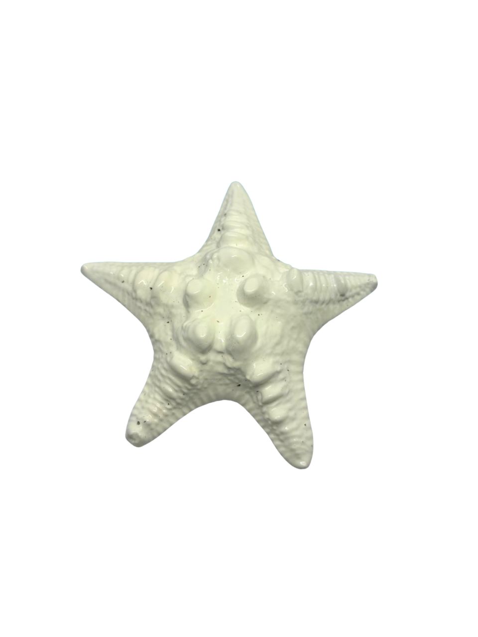 Arnesh Lead Weight Starfish thumbnail 2
