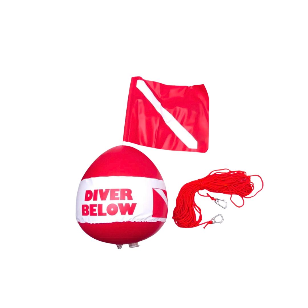 Diver Below thumbnail 4