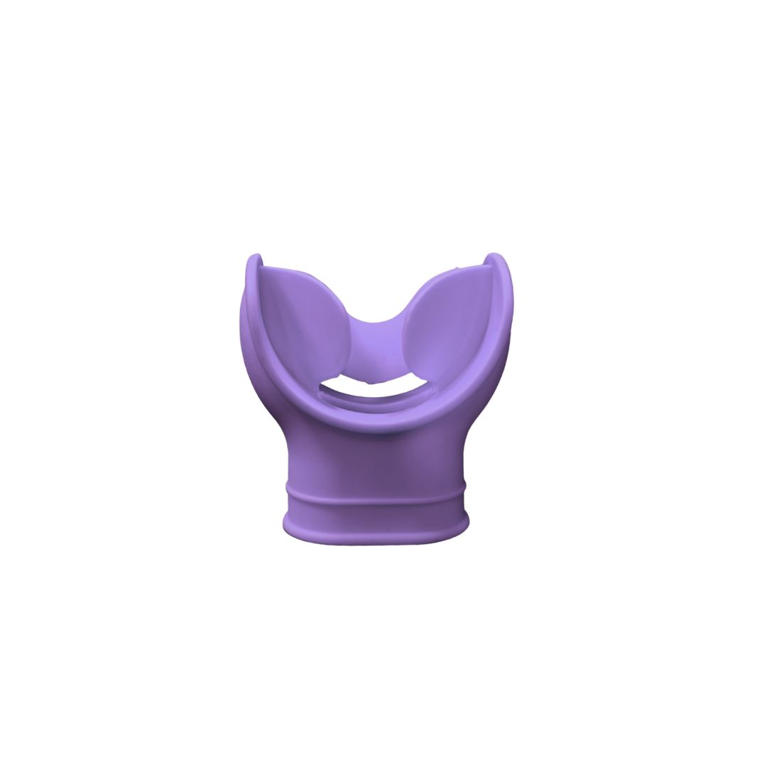 Arnesh Mouthpiece - alternate view